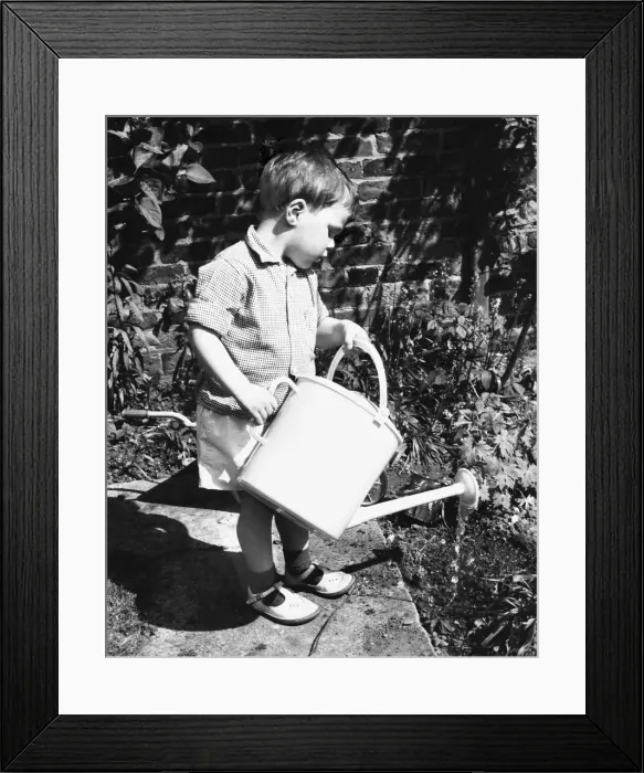 Framed Print : Little boy watering the garden Framed Print : Little boy watering the garden