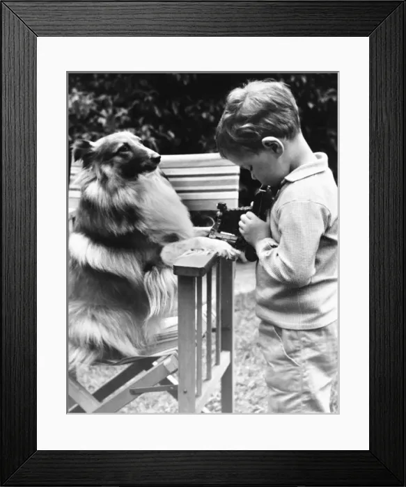 Framed Print : Little boy photographing pet dog in a garden Framed Print : Little boy photographing pet dog in a garden
