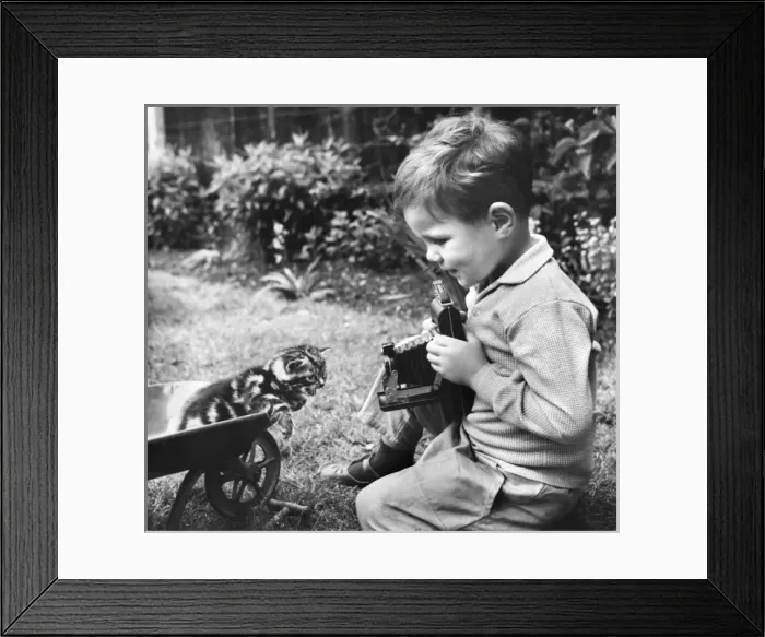 Framed Print : Little boy photographing a kitten in a garden Framed Print : Little boy photographing a kitten in a garden
