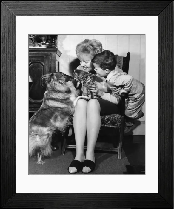 Framed Print : Mother and son with pet dog and kitten Framed Print : Mother and son with pet dog and kitten