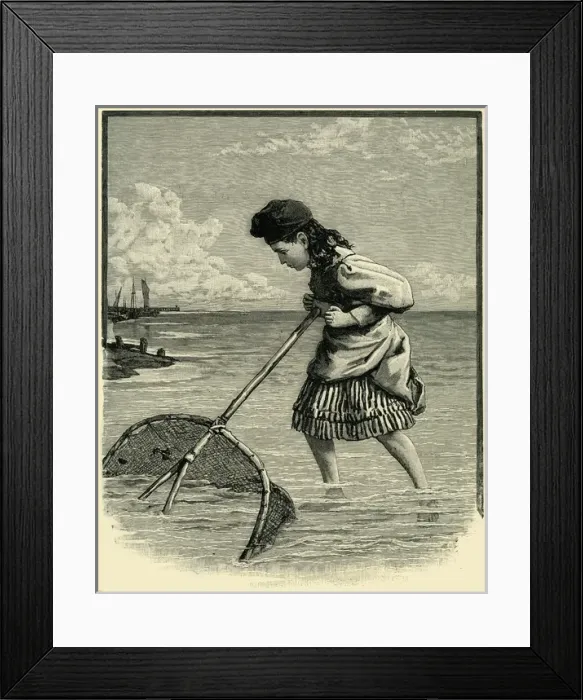 Framed Print : Young girl shrimping Framed Print : Young girl shrimping