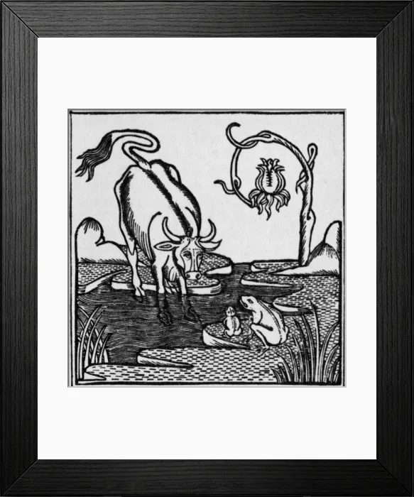 Framed Print : The frog & the bull Framed Print : The frog & the bull