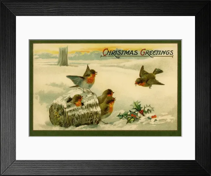 Framed Print : Robins in a snow scene Framed Print : Robins in a snow scene