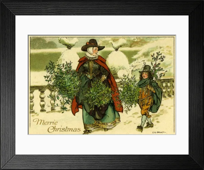 Framed Print : Holly & mistletoe Framed Print : Holly & mistletoe