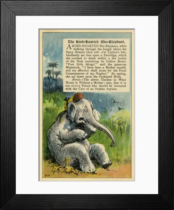 Framed Print : The kind-hearted she elephant Framed Print : The kind-hearted she elephant