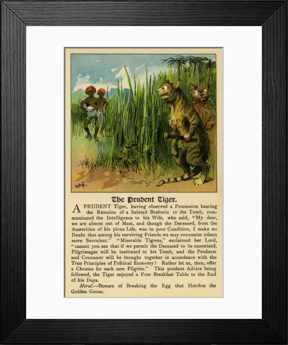 Framed Print : The prudent tiger Framed Print : The prudent tiger
