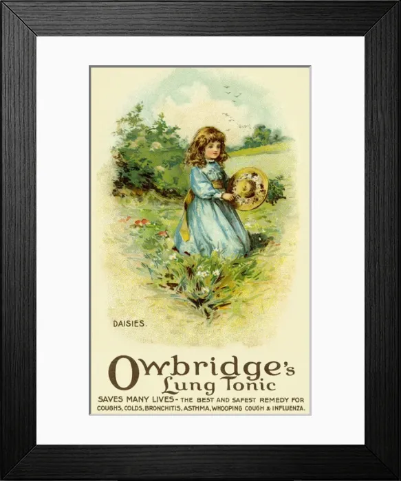 Framed Print : Daises. Owbridges lung tonic advertising Framed Print : Daises. Owbridges lung tonic advertising