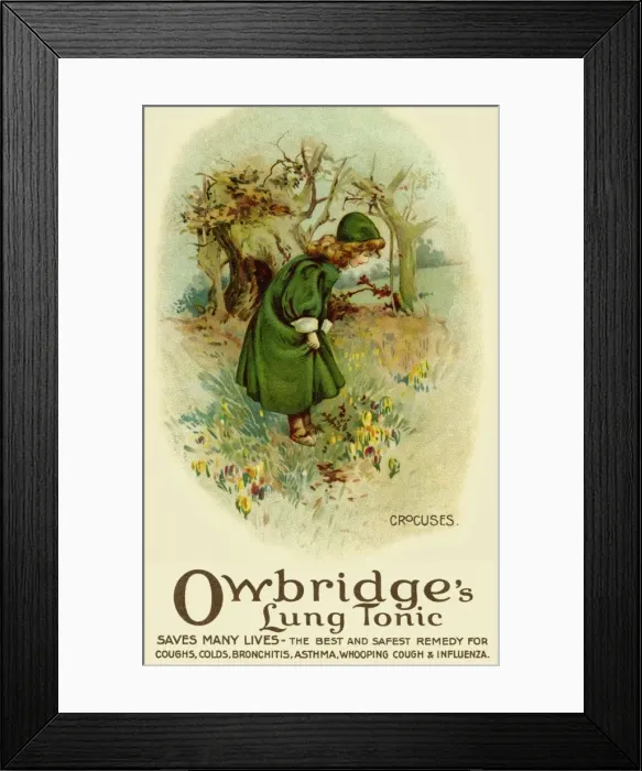 Framed Print : Crocuses. Owbridges lung tonic advertising Framed Print : Crocuses. Owbridges lung tonic advertising