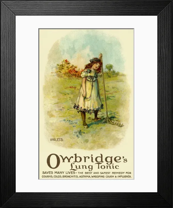 Framed Print : Violets. Owbridges lung tonic advertising Framed Print : Violets. Owbridges lung tonic advertising