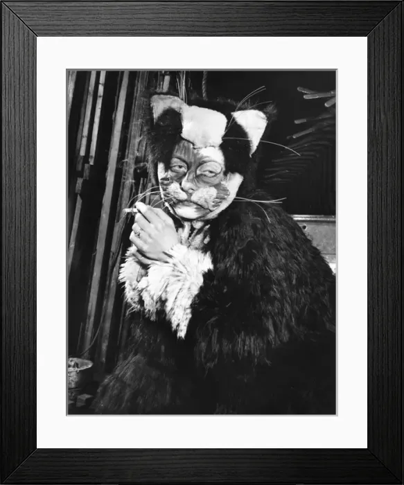 Framed Print : Actress Freda Wyn relaxing in cat costume during a pantomime Framed Print : Actress Freda Wyn relaxing in cat costume during a pantomime