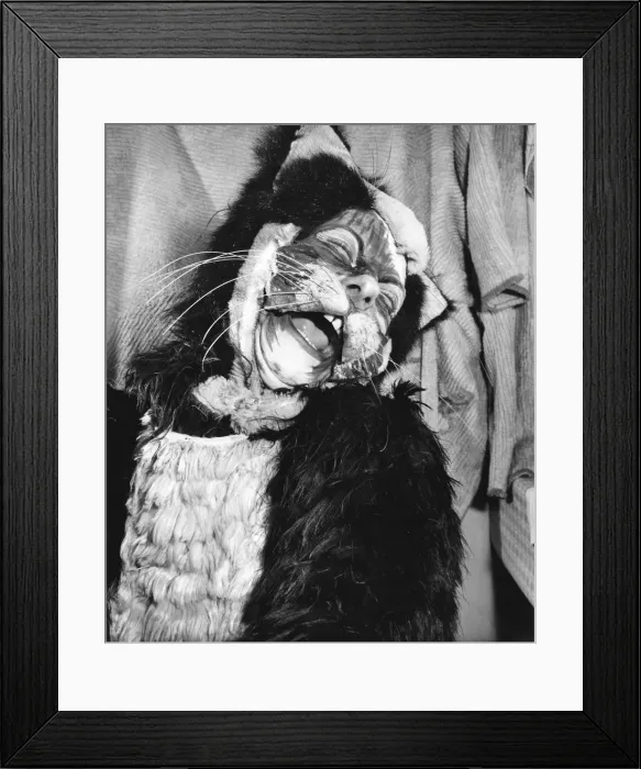 Framed Print : Actress Freda Wyn in cat costume for a pantomime Framed Print : Actress Freda Wyn in cat costume for a pantomime