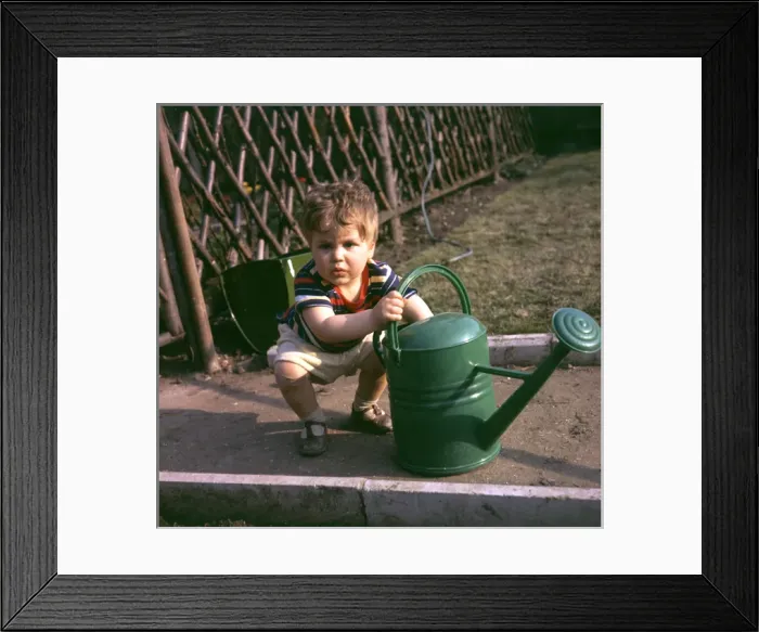 Framed Print : Little boy with green watering can in a garden Framed Print : Little boy with green watering can in a garden