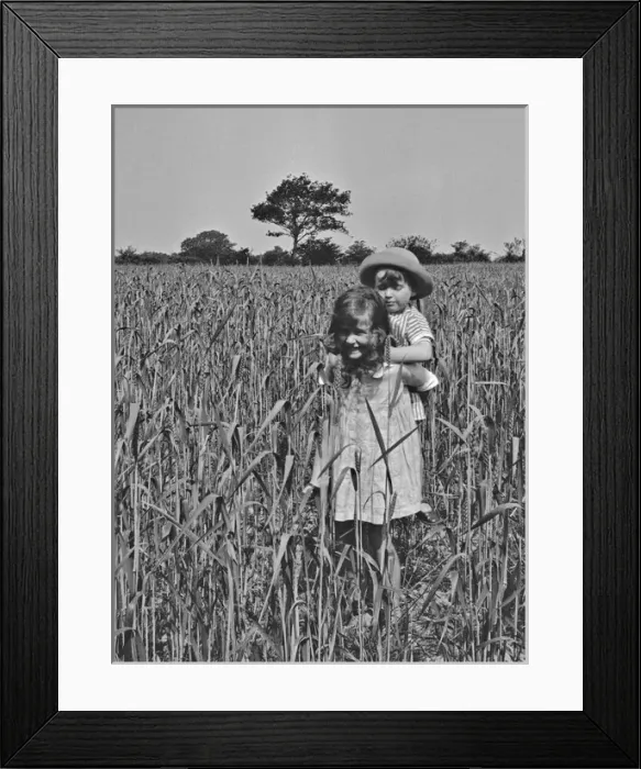 Framed Print : Girl and toddler in a cornfield Framed Print : Girl and toddler in a cornfield