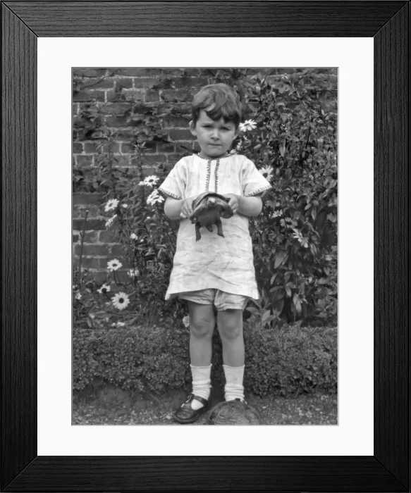 Framed Print : Child with two tortoises in a garden Framed Print : Child with two tortoises in a garden
