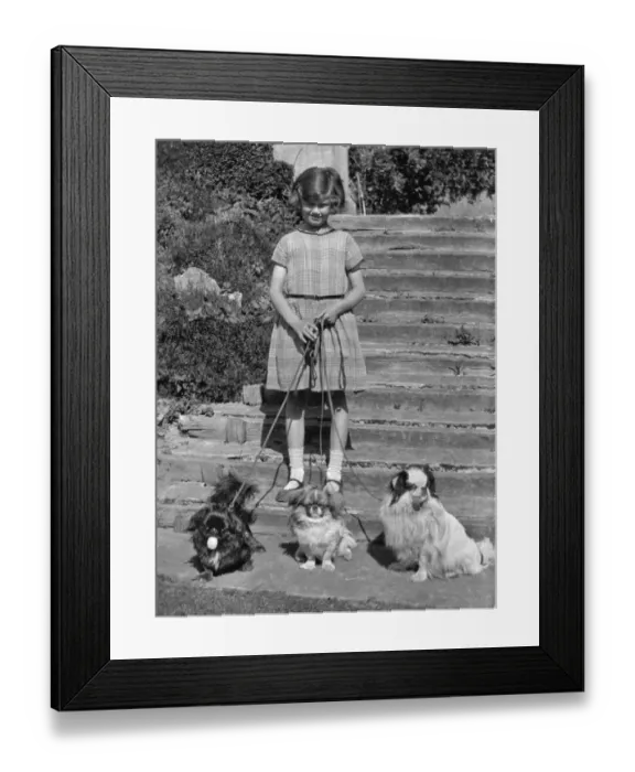 Framed Print : Girl with three dogs in a garden Framed Print : Girl with three dogs in a garden