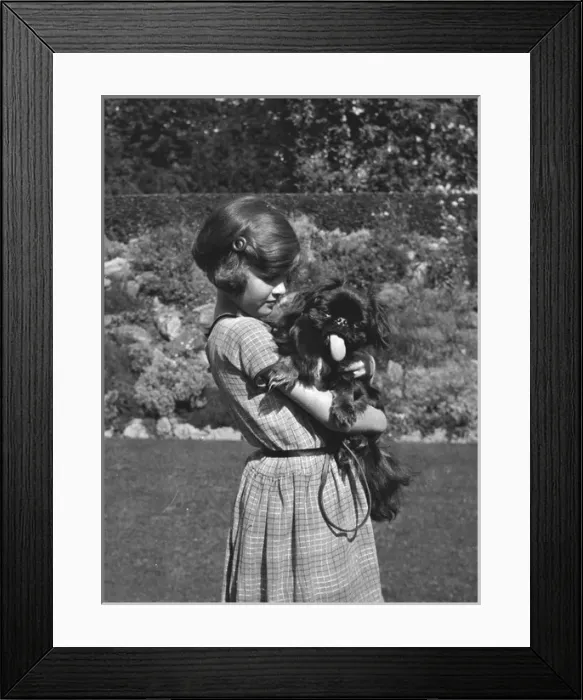 Framed Print : Girl holding a dog in a garden Framed Print : Girl holding a dog in a garden