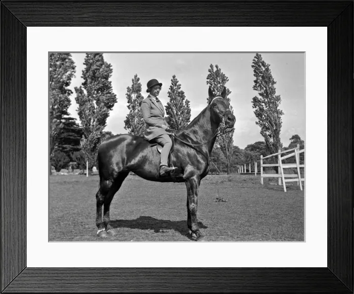 Framed Print : Woman on a horse in a field Framed Print : Woman on a horse in a field
