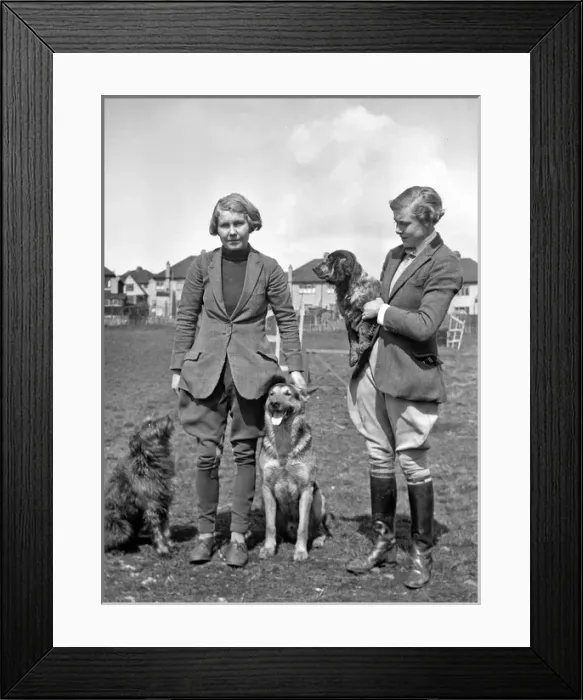 Framed Print : Two women with three dogs in a field Framed Print : Two women with three dogs in a field