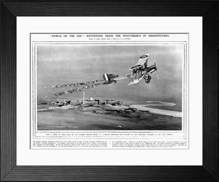 Framed Print : Fowls of the Air Framed Print : Fowls of the Air