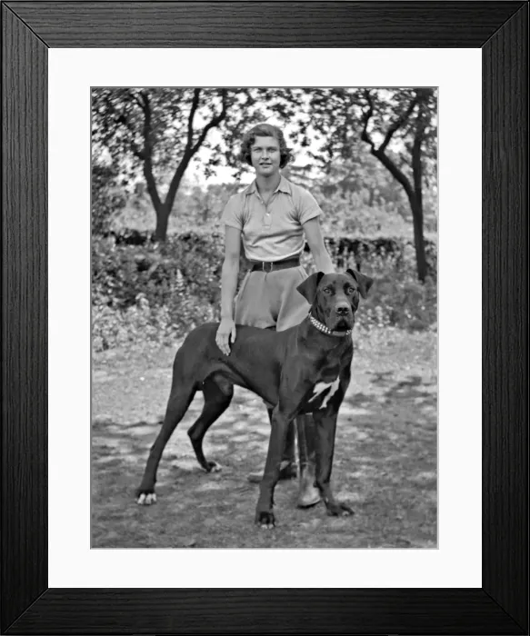 Framed Print : Young woman with large dog in a garden Framed Print : Young woman with large dog in a garden