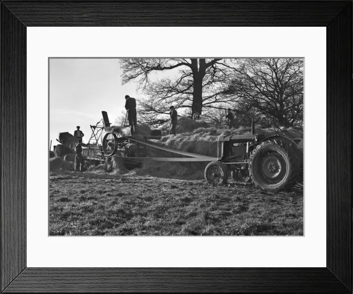 Framed Print : Haymaking in a field Framed Print : Haymaking in a field