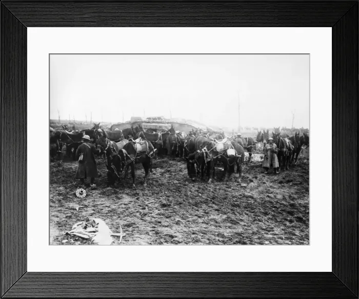 Framed Print : Soldiers on the Western Front, WW1 Framed Print : Soldiers on the Western Front, WW1
