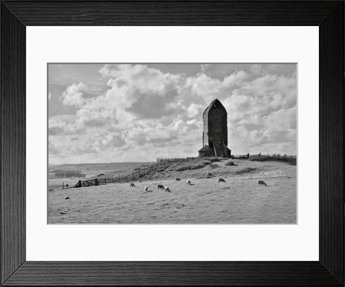 Framed Print : Sheep in a field with a disused windmill Framed Print : Sheep in a field with a disused windmill