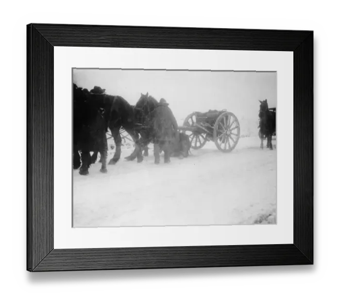 Framed Print : Soldiers and horses on the Western Front, WW1 Framed Print : Soldiers and horses on the Western Front, WW1