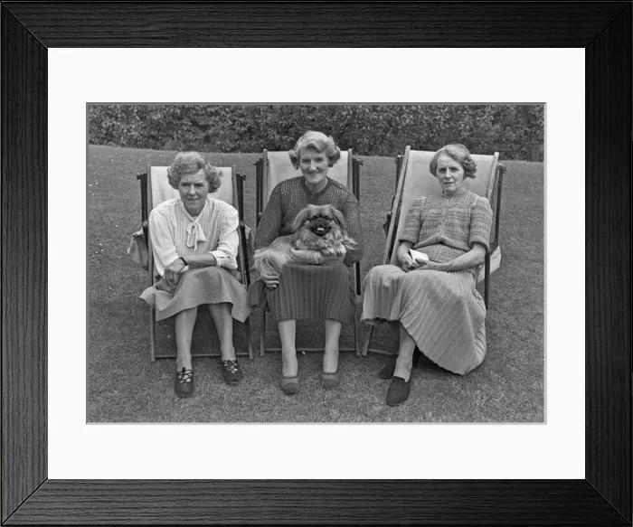 Framed Print : Three women in deckchairs with a dog Framed Print : Three women in deckchairs with a dog