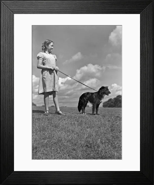 Framed Print : Girl in a field with a dog on a lead Framed Print : Girl in a field with a dog on a lead
