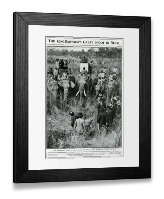 Framed Print : King Emperors great shoot in Nepal 1911 Framed Print : King Emperors great shoot in Nepal 1911