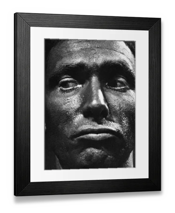 Framed Print : Pantagleize Framed Print : Pantagleize
