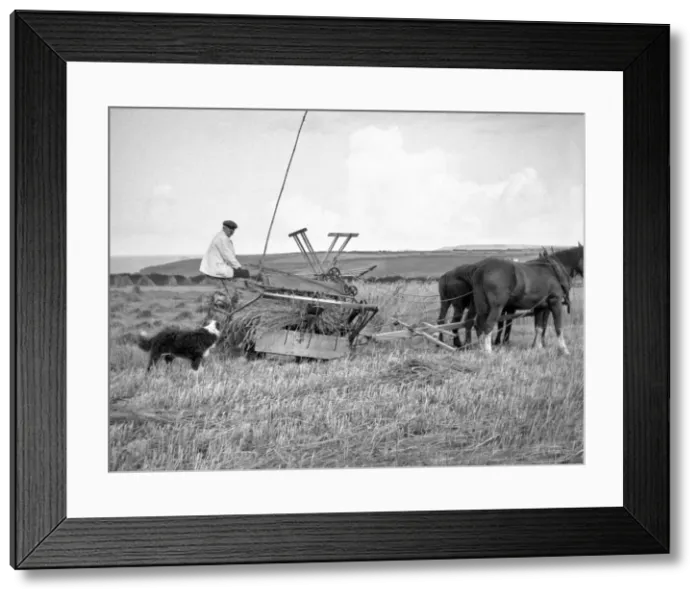 Framed Print : Man with a harvesting machine in a field Framed Print : Man with a harvesting machine in a field