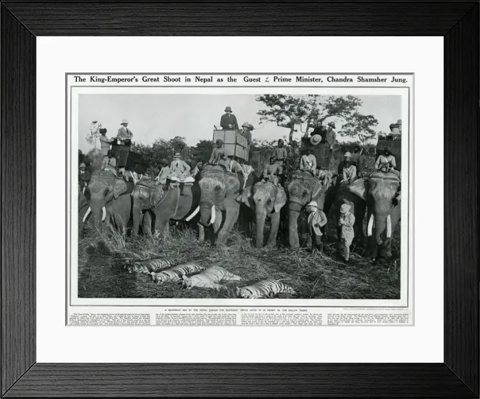 Framed Print : King George V shooting expedition 1911 Framed Print : King George V shooting expedition 1911
