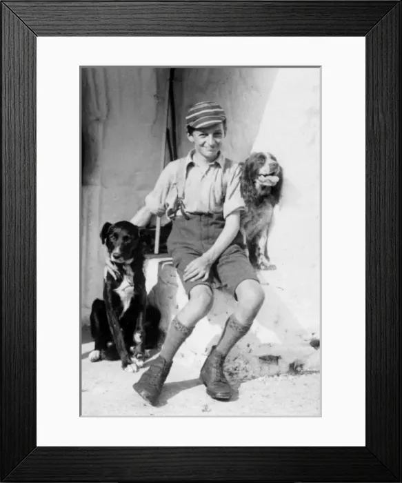 Framed Print : A smiling schoolboy and his two dogs Framed Print : A smiling schoolboy and his two dogs