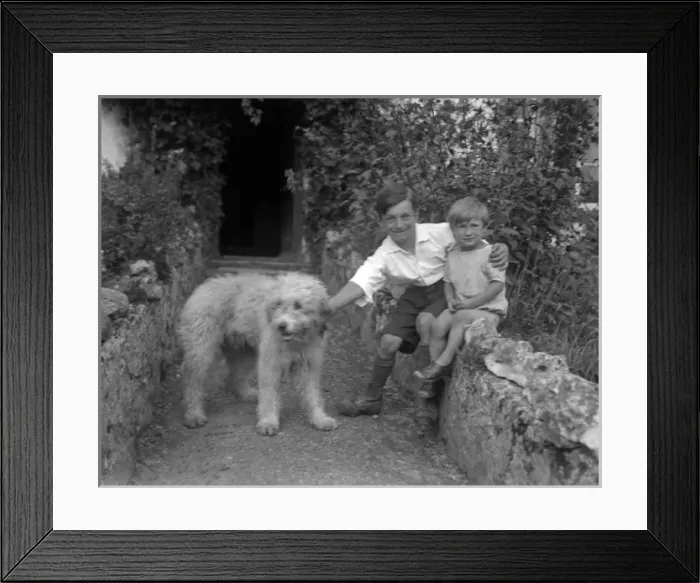 Framed Print : Two boys and a shaggy dog Framed Print : Two boys and a shaggy dog