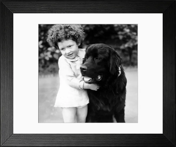 Framed Print : Little girl and her large dog Framed Print : Little girl and her large dog