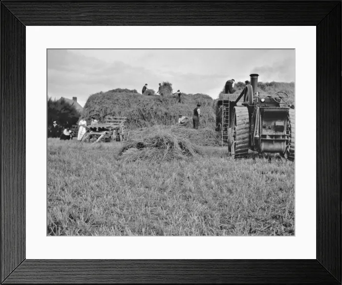 Framed Print : People harvesting in a field Framed Print : People harvesting in a field