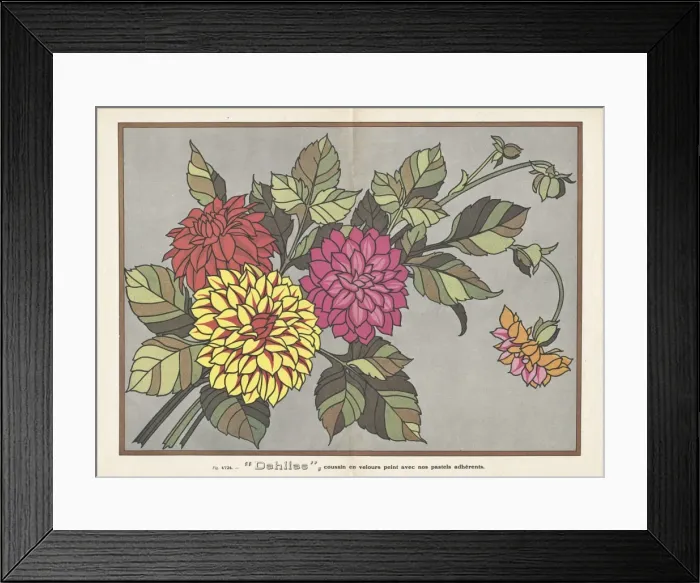 Framed Print : Dahlias, insert illustration in L Artisan Pratique Framed Print : Dahlias, insert illustration in L Artisan Pratique