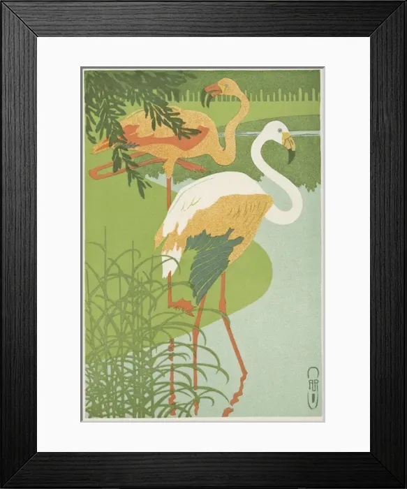 Framed Print : Flamingoes at the waterside Framed Print : Flamingoes at the waterside