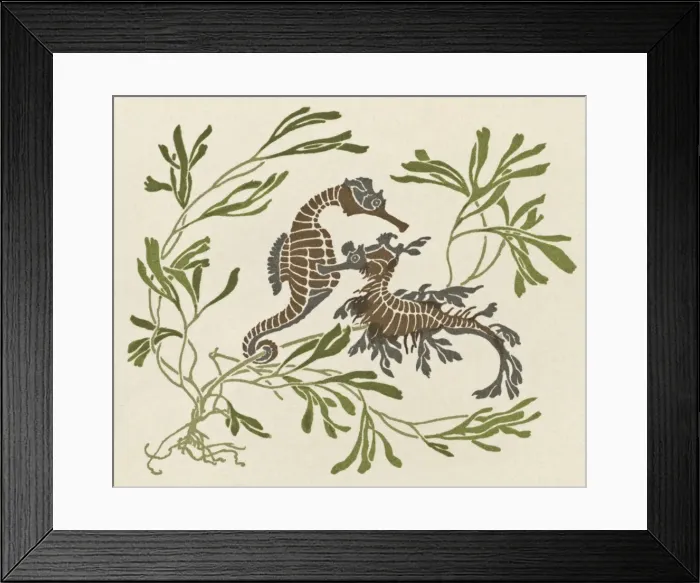 Framed Print : Two seahorses with seaweed Framed Print : Two seahorses with seaweed