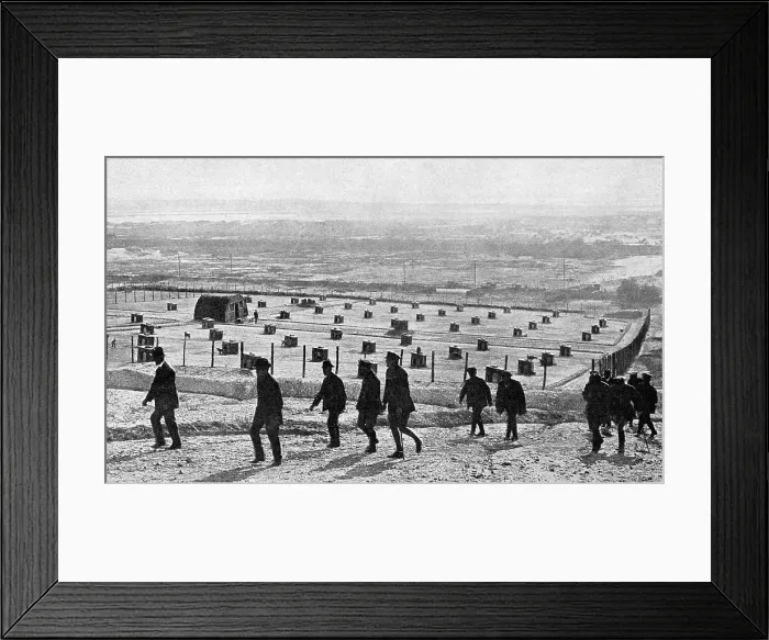 Framed Print : Messenger dog depot on the Western Front
