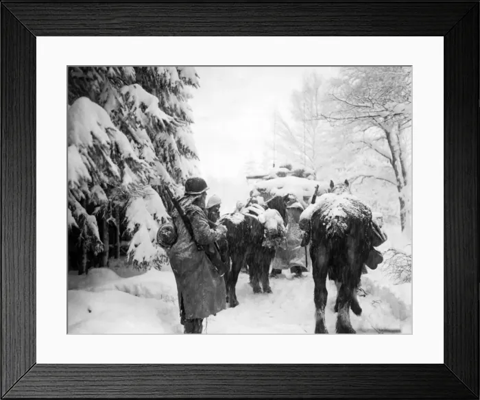 Framed Print : Battle of the Bulge, 1944 Framed Print : Battle of the Bulge, 1944