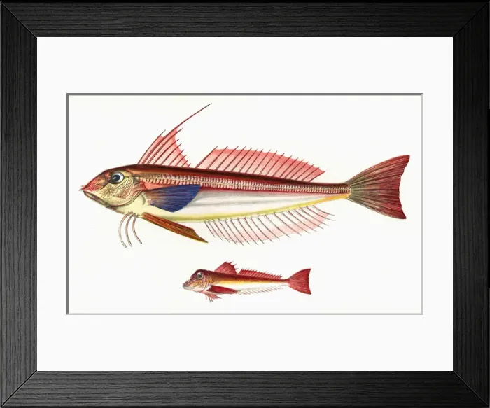 Framed Print : Lanthorn Gurnard and Little Gurnard Framed Print : Lanthorn Gurnard and Little Gurnard