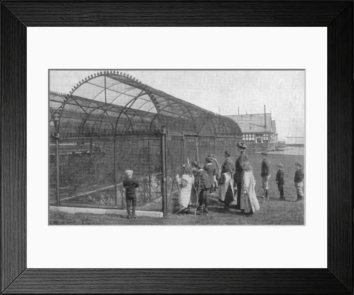 Framed Print : Lord Mayor Treloar Cripples Home, Alton - Aviary