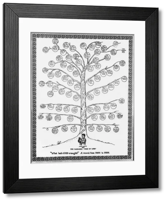 Framed Print : Barnardos Tree of Life 1866-1906 Framed Print : Barnardos Tree of Life 1866-1906