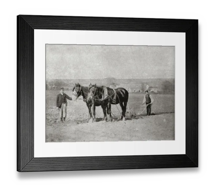 Framed Print : Princess Alice Orphanage, Sutton Coldfield - Farm Boys Framed Print : Princess Alice Orphanage, Sutton Coldfield - Farm Boys