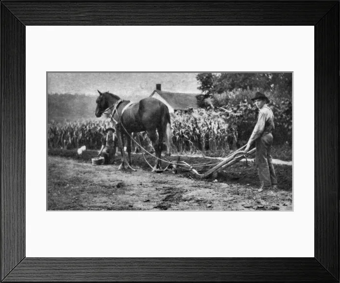 Framed Print : National Childrens Home, Canada - One of Our Boys Ploughin Framed Print : National Childrens Home, Canada - One of Our Boys Ploughin