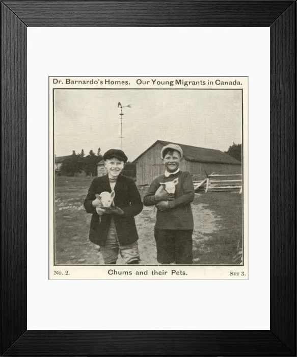 Framed Print : Barnardos Emigrants in Canada - Chums and their Pets Framed Print : Barnardos Emigrants in Canada - Chums and their Pets