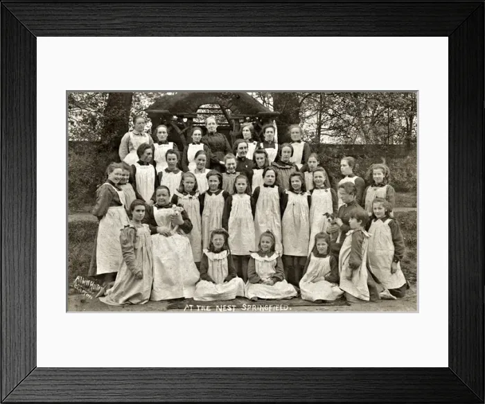 Framed Print : The Nest, Clapton Framed Print : The Nest, Clapton